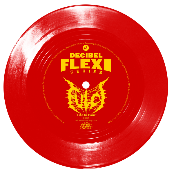Fulci flexi disc
