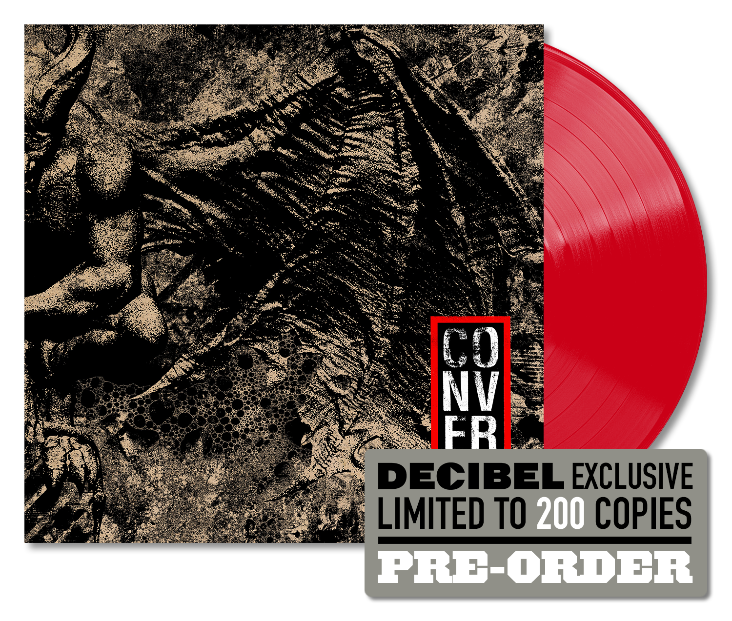 CONVERGE - LOVE IS NOT ENOUGH [DECIBEL EXCLUSIVE BLOOD ROSE RED CONVERGE - LOVE IS NOT ENOUGH [DECIBEL EXCLUSIVE BLOOD ROSE RED