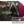 Load image into Gallery viewer, Castrator - Defiled in Oblivion DECIBEL EXCLUSIVE HOT PINK &amp; BLACK GALAXY VINYL
